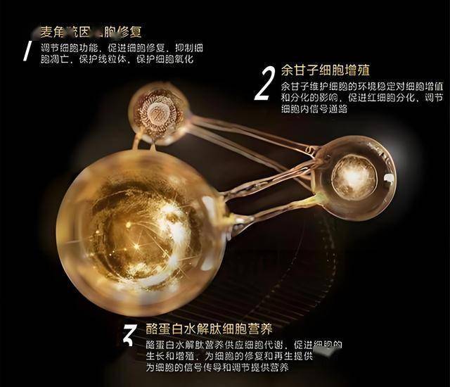 维加妮甘鸽赤霞珠干红：8年树龄，桶陈6月，性价比之选