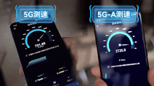良性共存：葡萄园里的动物世界