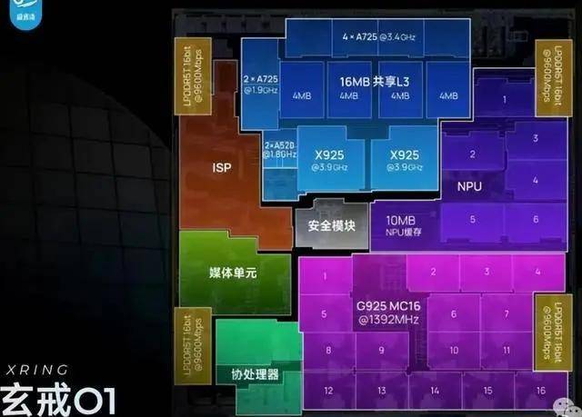 拉图垂直品鉴套装，尽享1855一级名庄的深邃与奢华